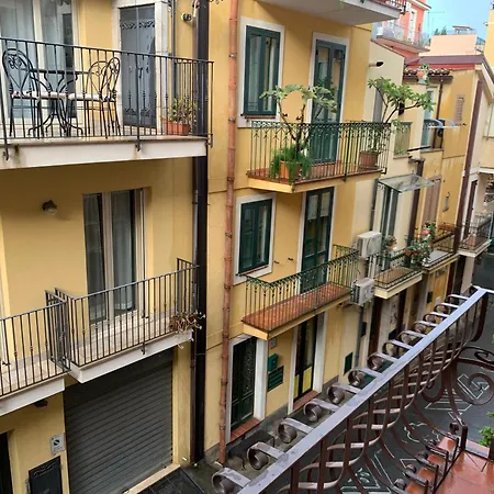 Avaja - Caterina's *